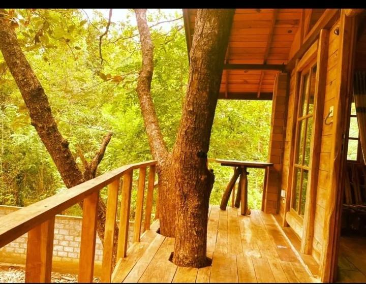 Villa Luxury Tree House Kibissa Exterior foto