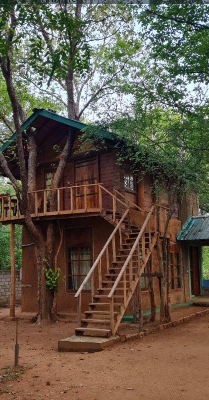 Villa Luxury Tree House Kibissa Exterior foto